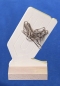 Büroklammerhalter